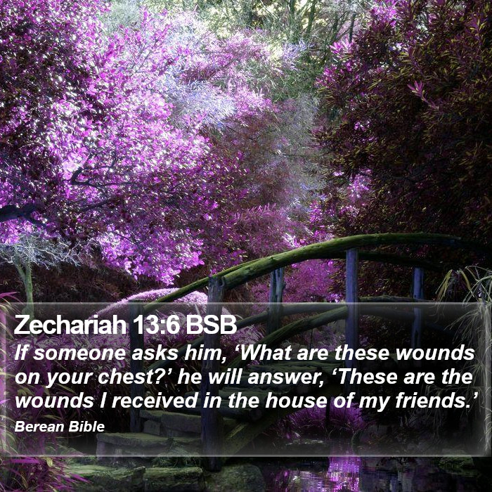 Zechariah 13:6 BSB Bible Study