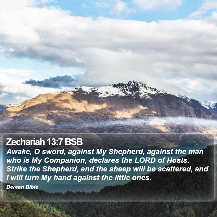 Zechariah 13:7 BSB Bible Study