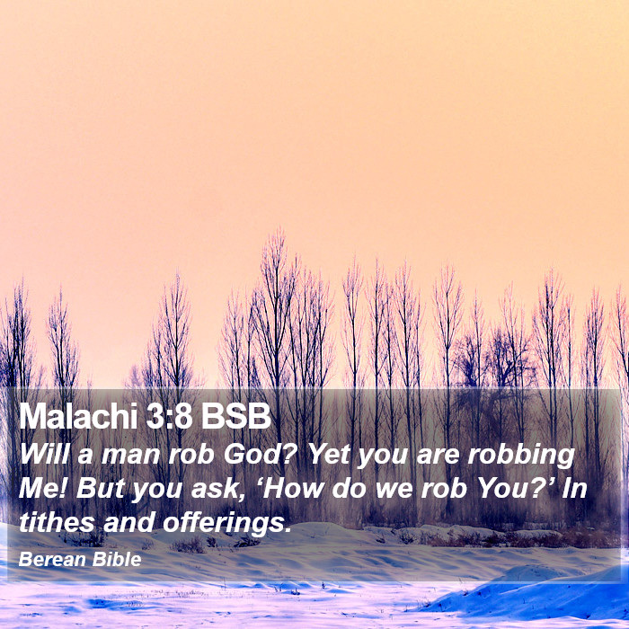 Malachi 3:8 BSB Bible Study