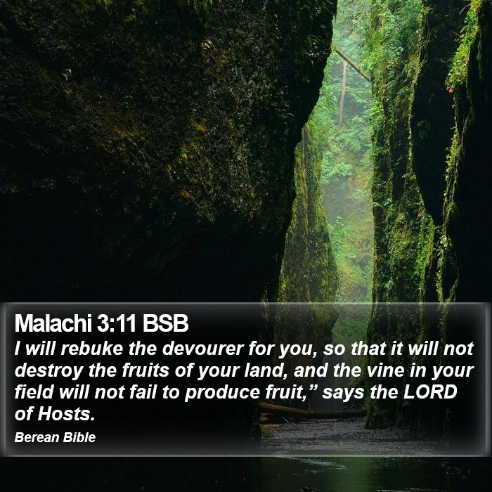 Malachi 3:11 BSB Bible Study