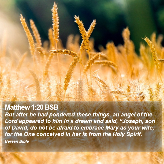 Matthew 1:20 BSB Bible Study