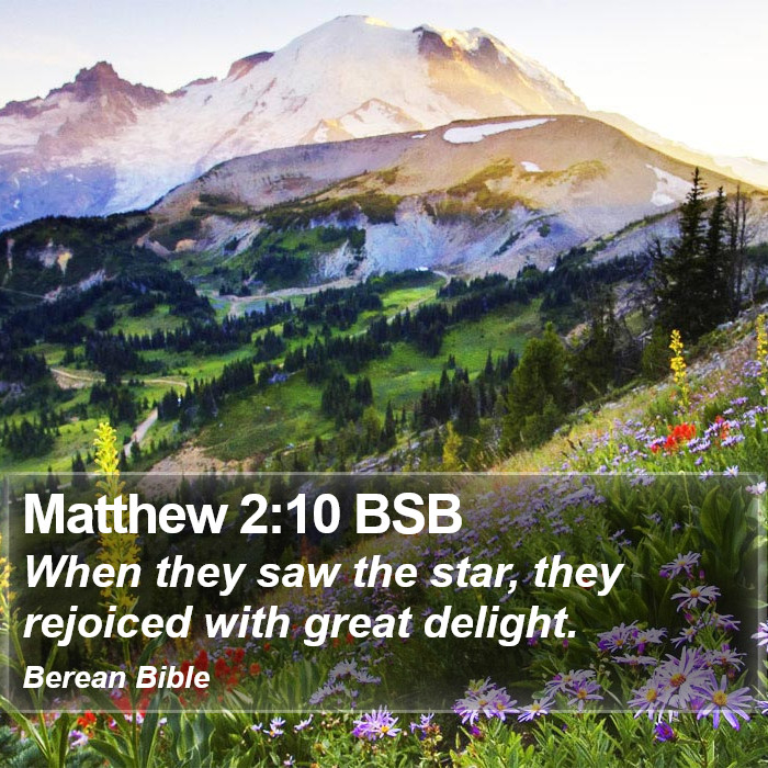 Matthew 2:10 BSB Bible Study