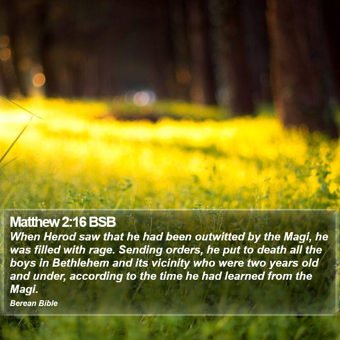 Matthew 2:16 BSB Bible Study