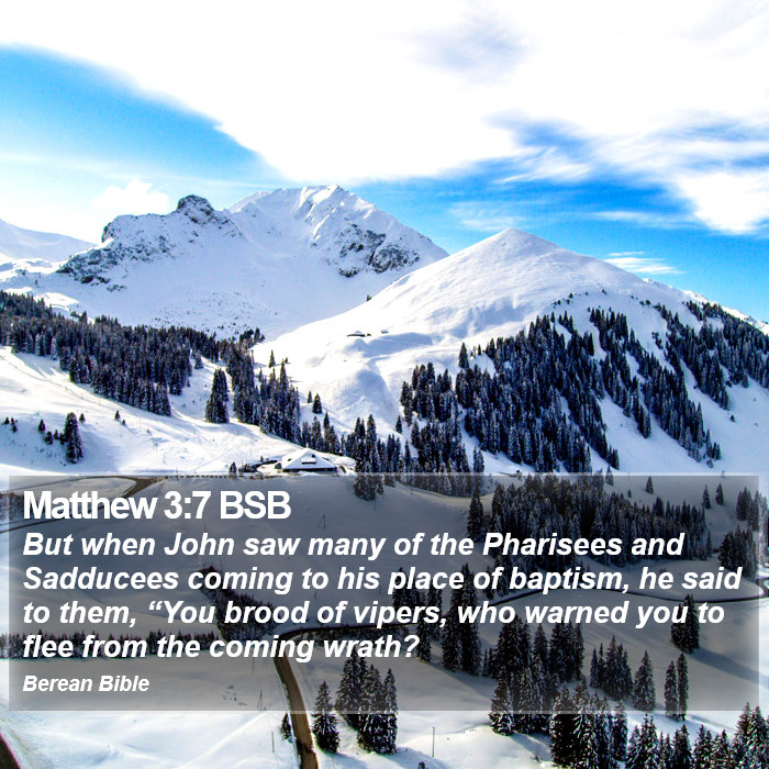 Matthew 3:7 BSB Bible Study