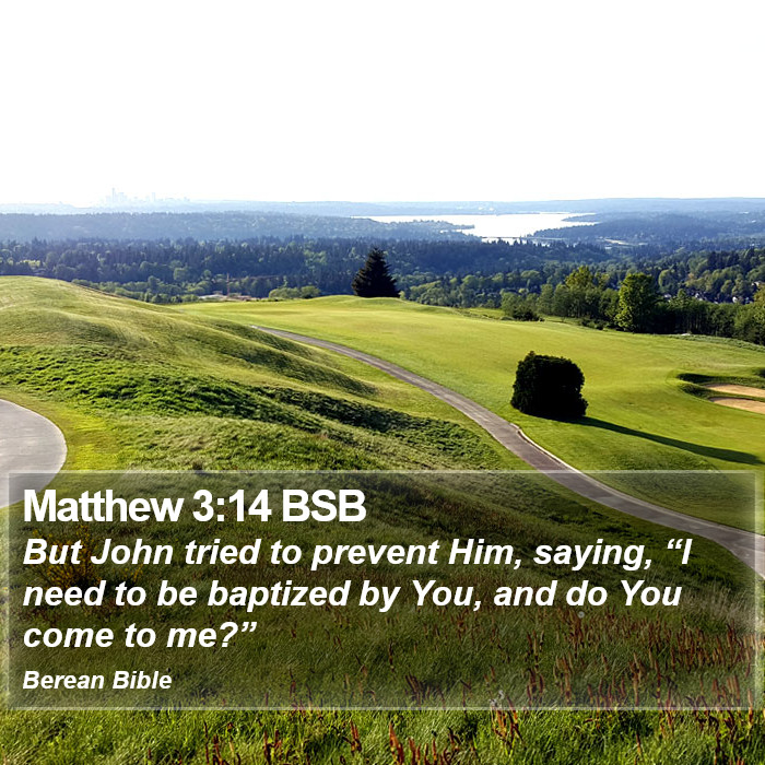 Matthew 3:14 BSB Bible Study