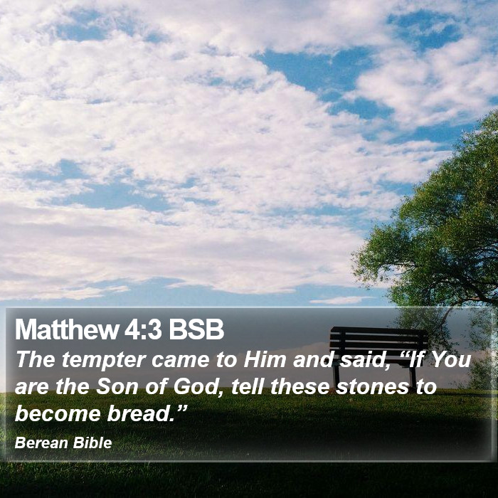 Matthew 4:3 BSB Bible Study