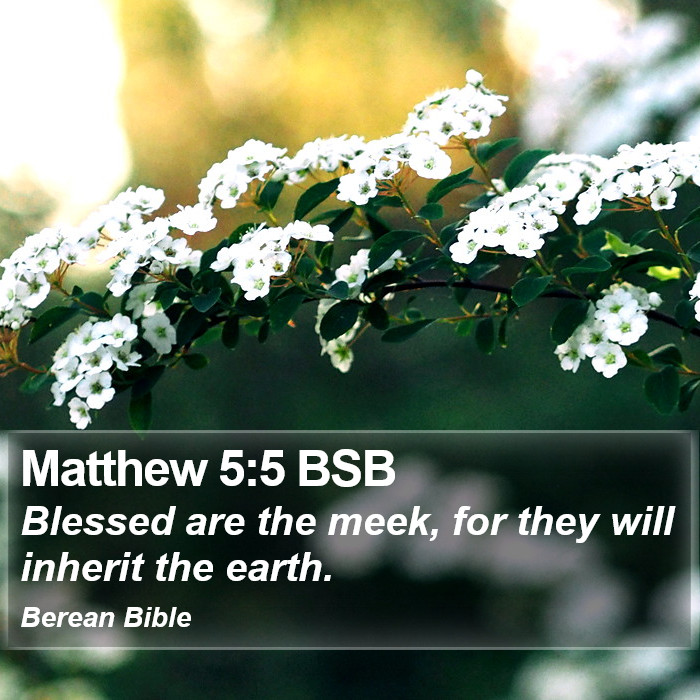 Matthew 5:5 BSB Bible Study