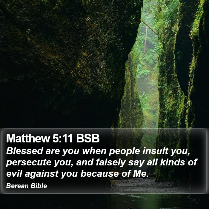 Matthew 5:11 BSB Bible Study