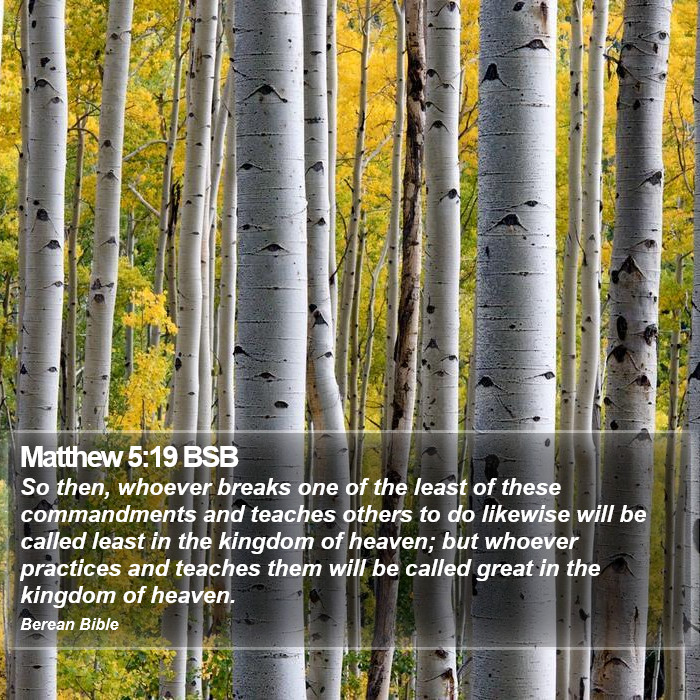 Matthew 5:19 BSB Bible Study