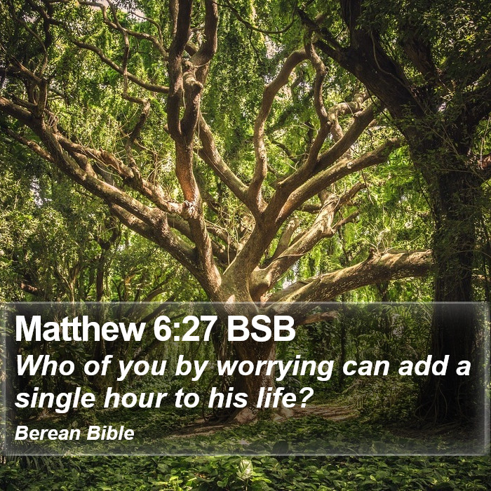 Matthew 6:27 BSB Bible Study