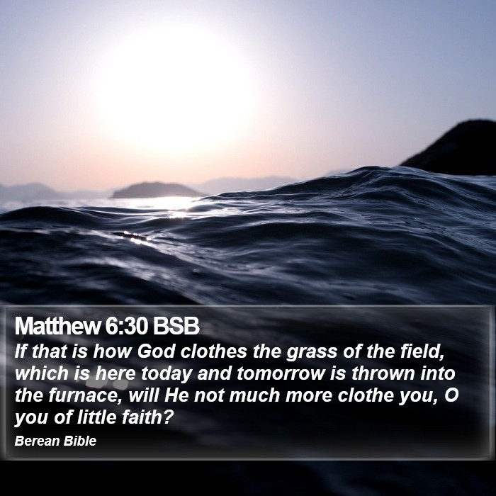 Matthew 6:30 BSB Bible Study