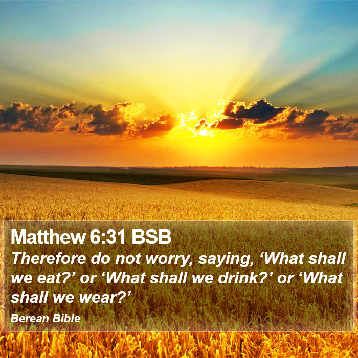 Matthew 6:31 BSB Bible Study