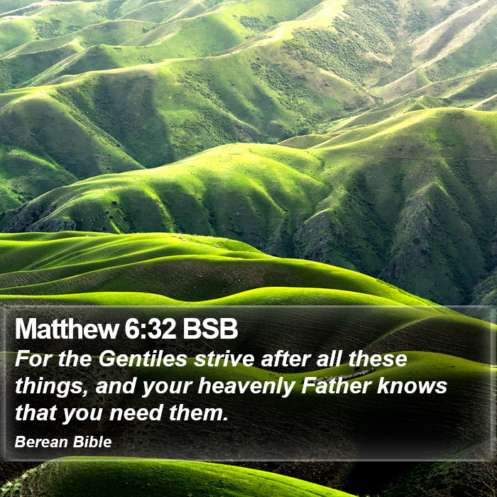 Matthew 6:32 BSB Bible Study