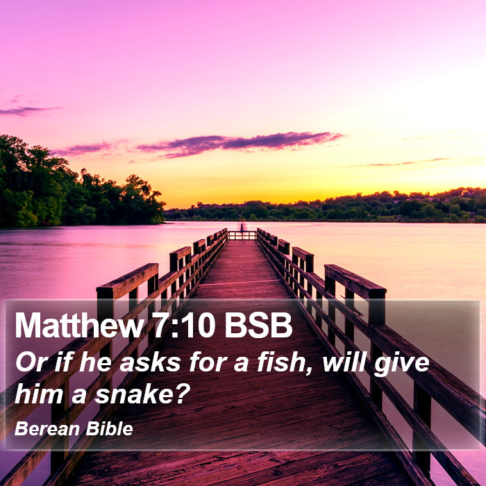 Matthew 7:10 BSB Bible Study