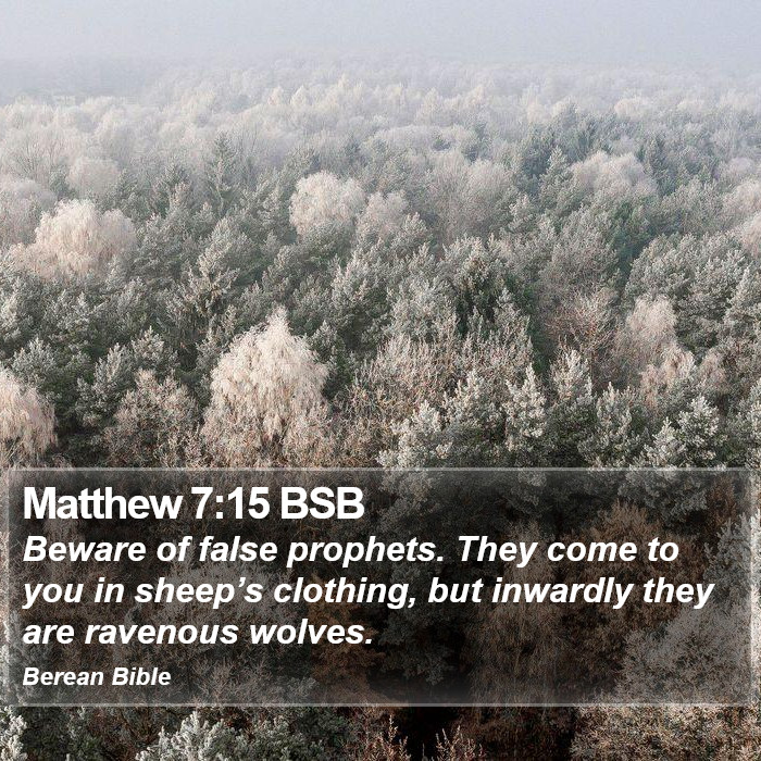 Matthew 7:15 BSB Bible Study