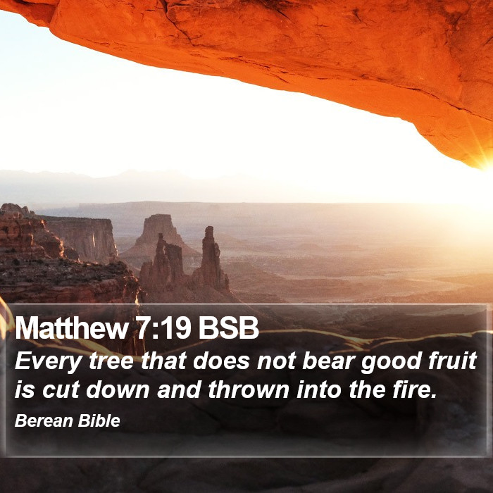 Matthew 7:19 BSB Bible Study