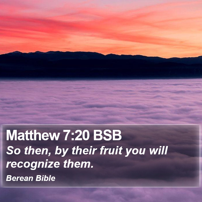 Matthew 7:20 BSB Bible Study