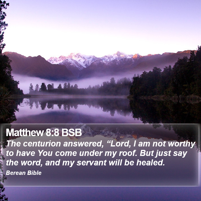 Matthew 8:8 BSB Bible Study