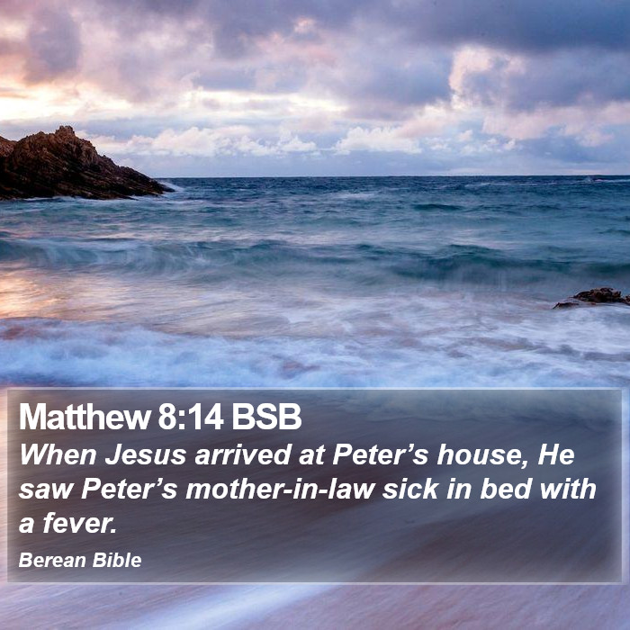 Matthew 8:14 BSB Bible Study