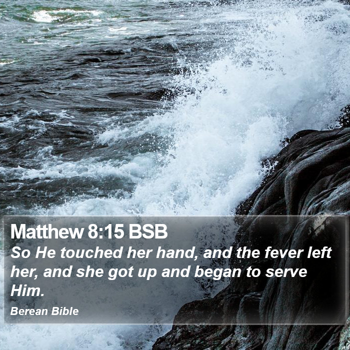 Matthew 8:15 BSB Bible Study