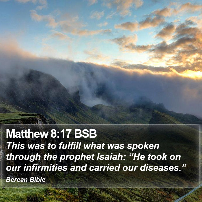 Matthew 8:17 BSB Bible Study