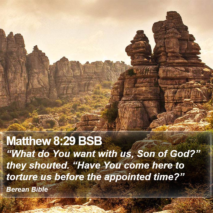 Matthew 8:29 BSB Bible Study