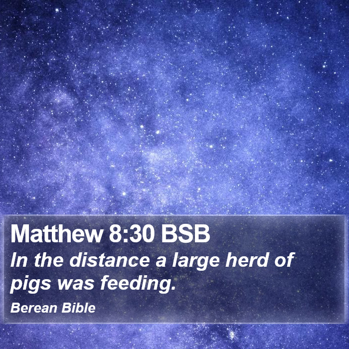 Matthew 8:30 BSB Bible Study