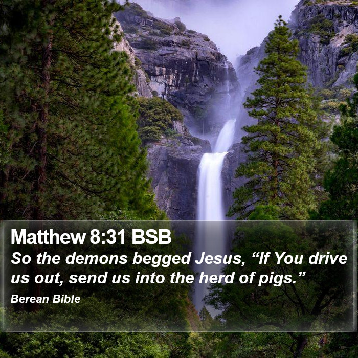 Matthew 8:31 BSB Bible Study