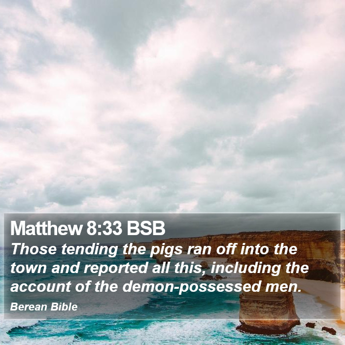 Matthew 8:33 BSB Bible Study