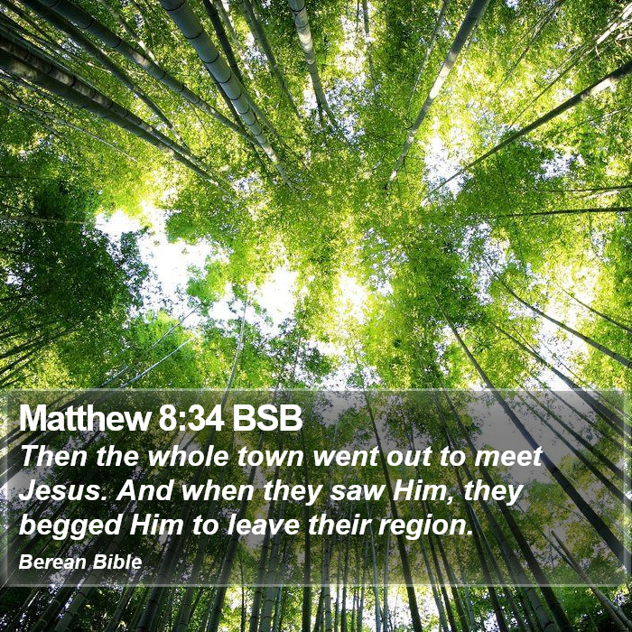 Matthew 8:34 BSB Bible Study