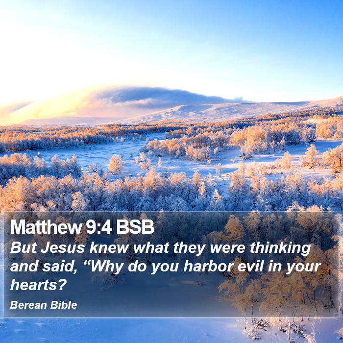 Matthew 9:4 BSB Bible Study