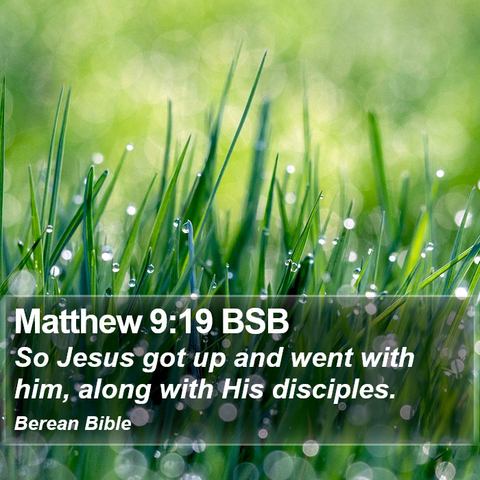 Matthew 9:19 BSB Bible Study