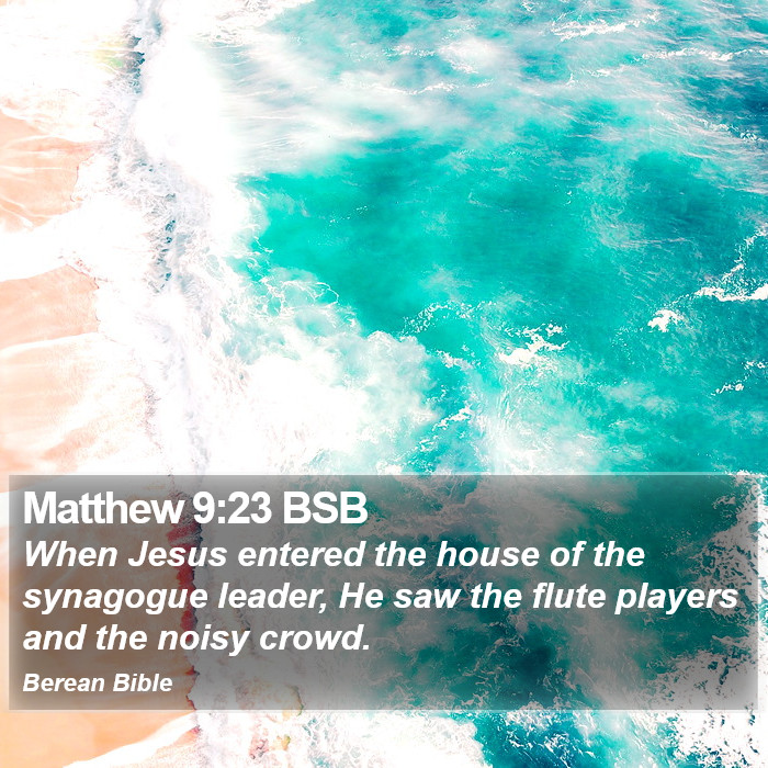 Matthew 9:23 BSB Bible Study