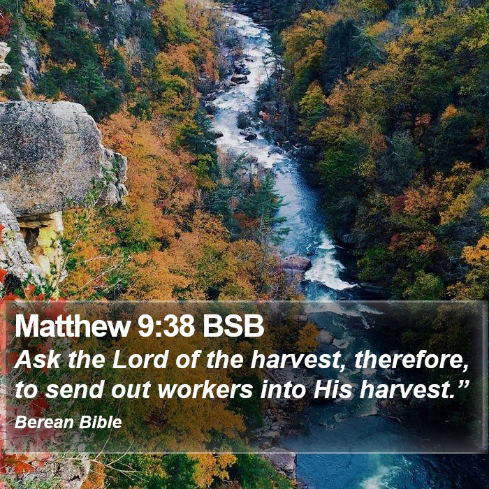 Matthew 9:38 BSB Bible Study