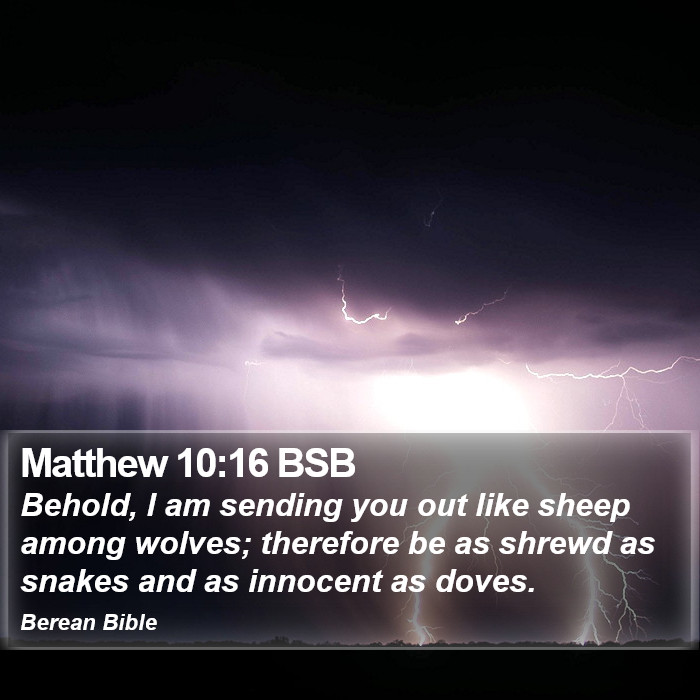 Matthew 10:16 BSB Bible Study