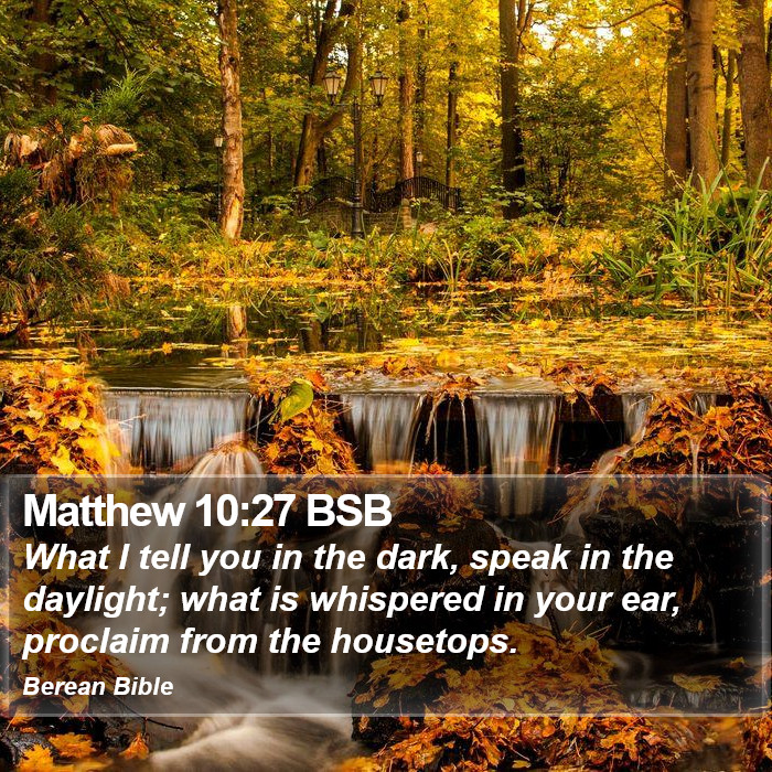 Matthew 10:27 BSB Bible Study