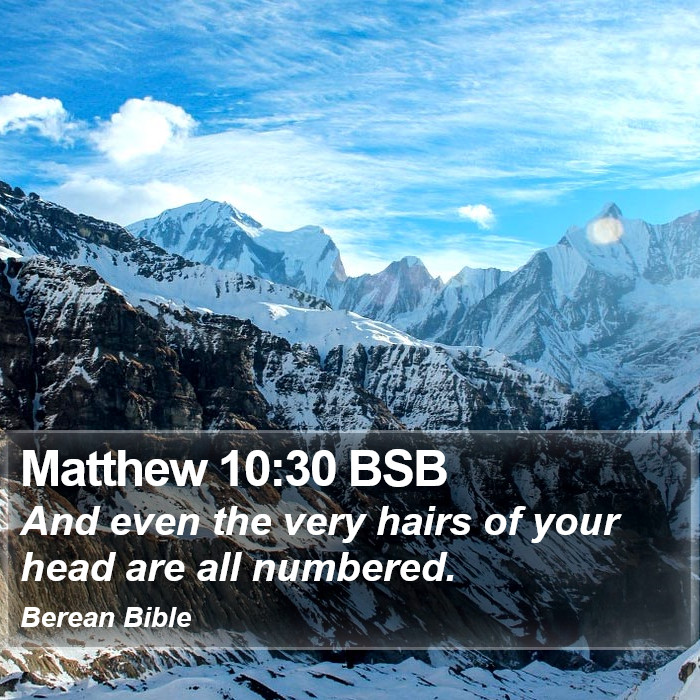 Matthew 10:30 BSB Bible Study