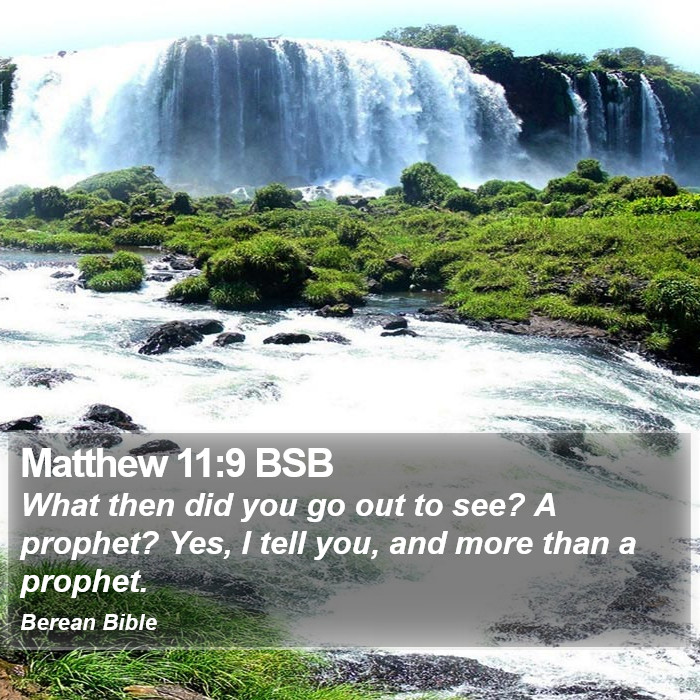 Matthew 11:9 BSB Bible Study