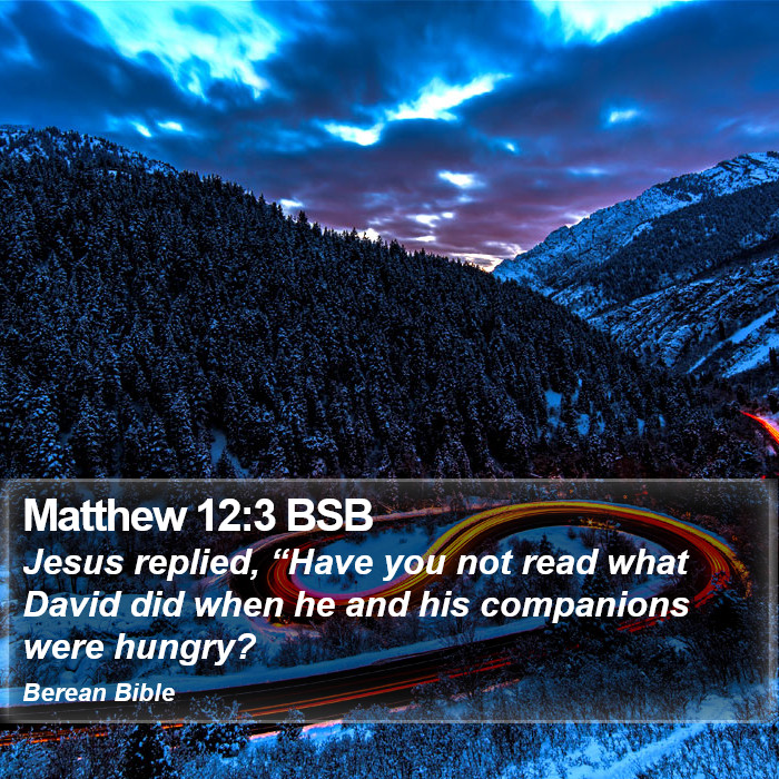 Matthew 12:3 BSB Bible Study