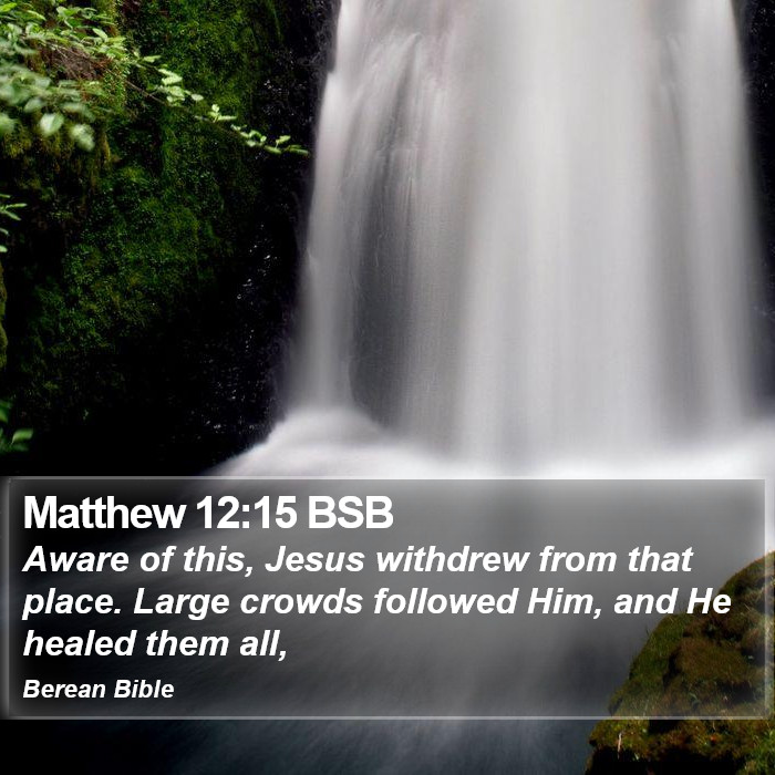 Matthew 12:15 BSB Bible Study