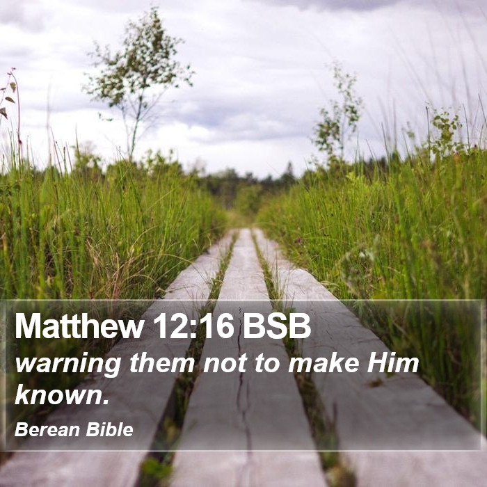 Matthew 12:16 BSB Bible Study