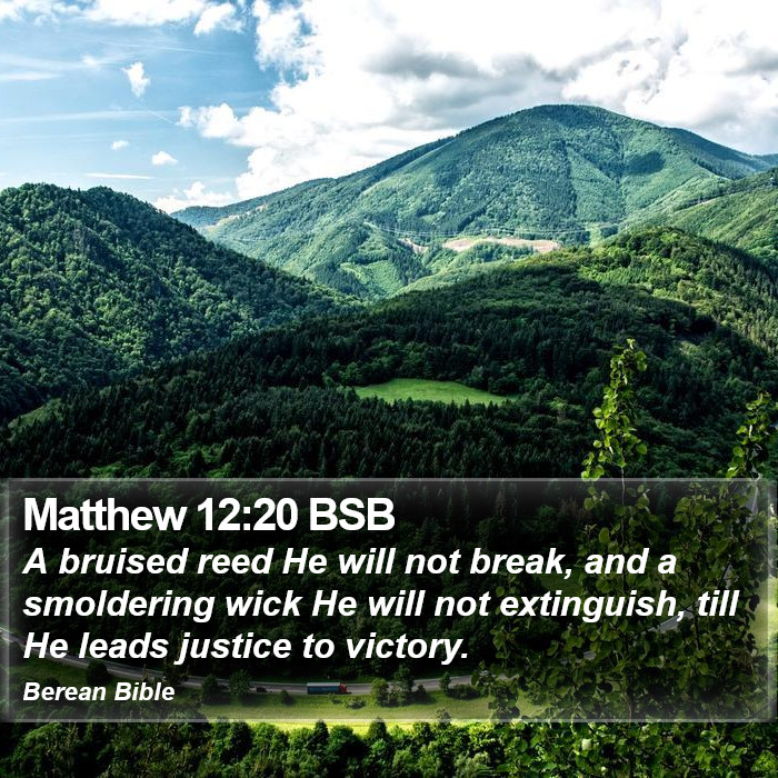 Matthew 12:20 BSB Bible Study