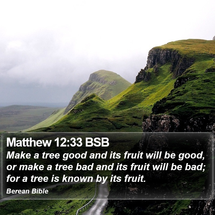 Matthew 12:33 BSB Bible Study