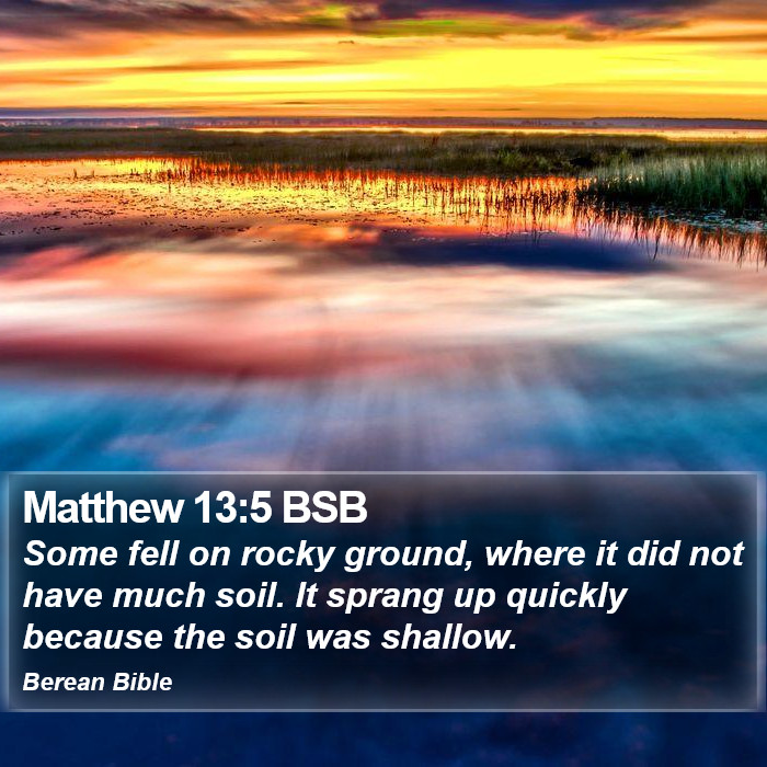 Matthew 13:5 BSB Bible Study