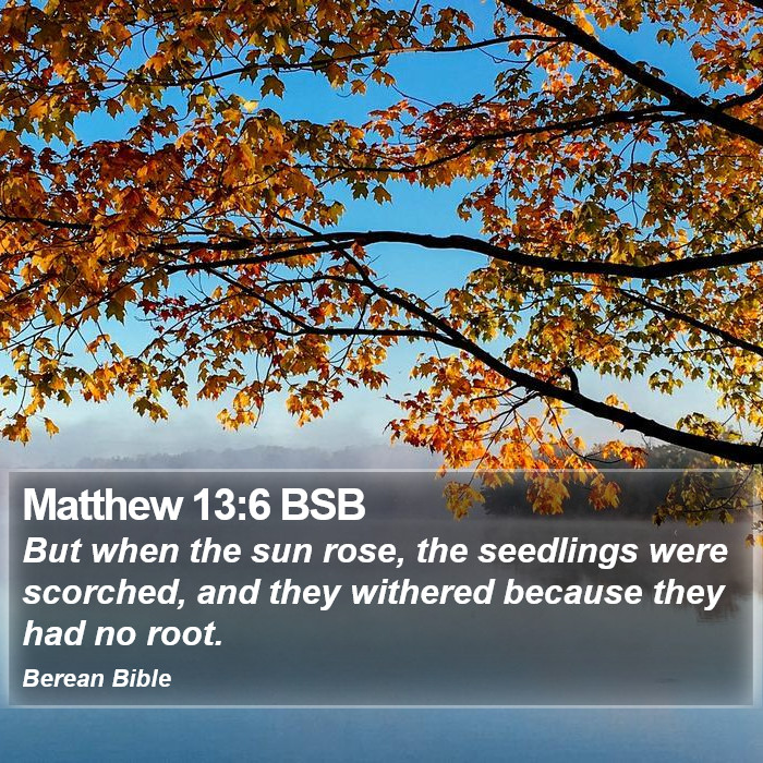 Matthew 13:6 BSB Bible Study