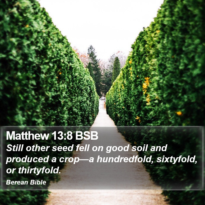 Matthew 13:8 BSB Bible Study