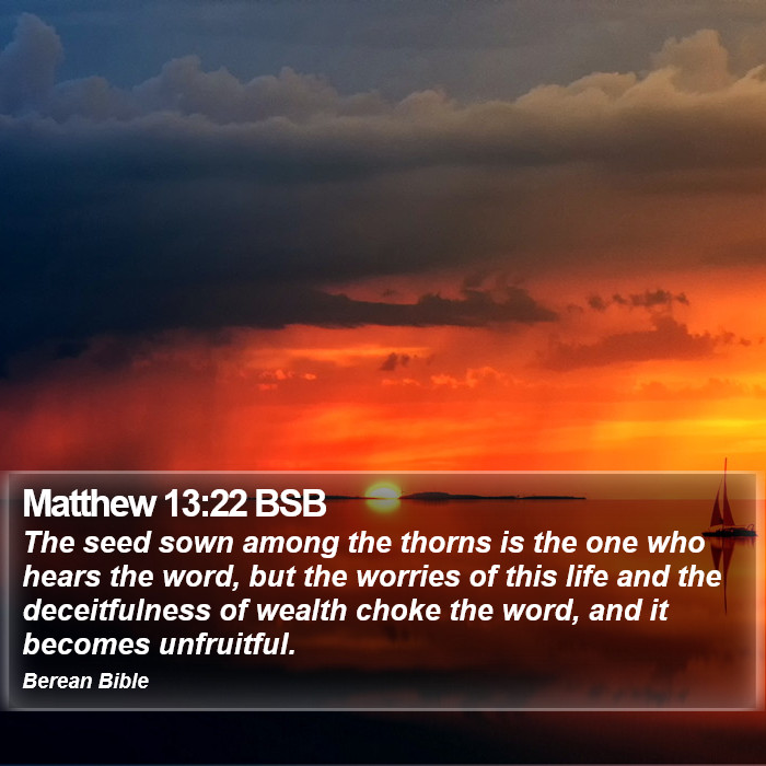 Matthew 13:22 BSB Bible Study