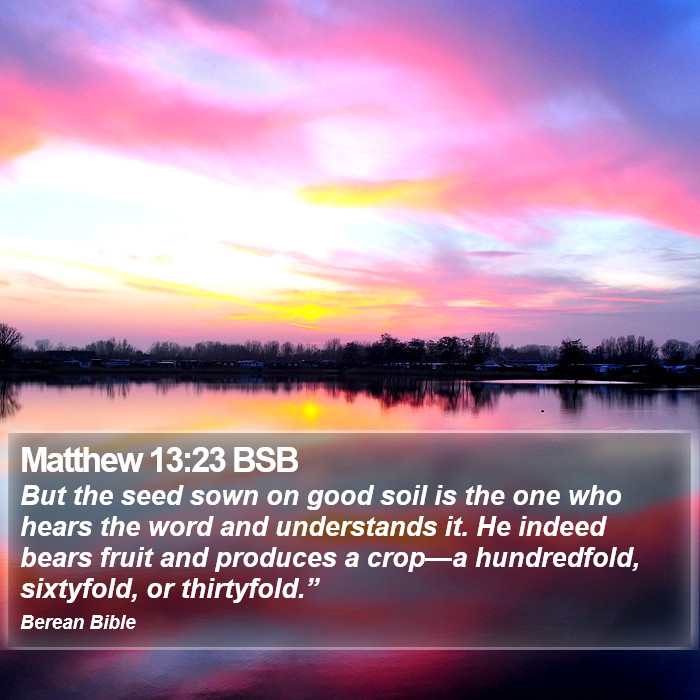 Matthew 13:23 BSB Bible Study