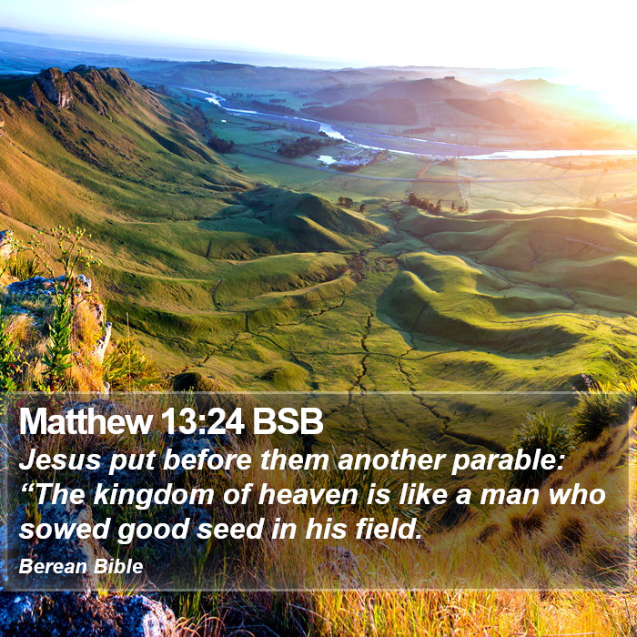 Matthew 13:24 BSB Bible Study