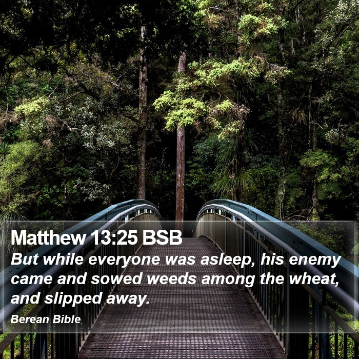 Matthew 13:25 BSB Bible Study